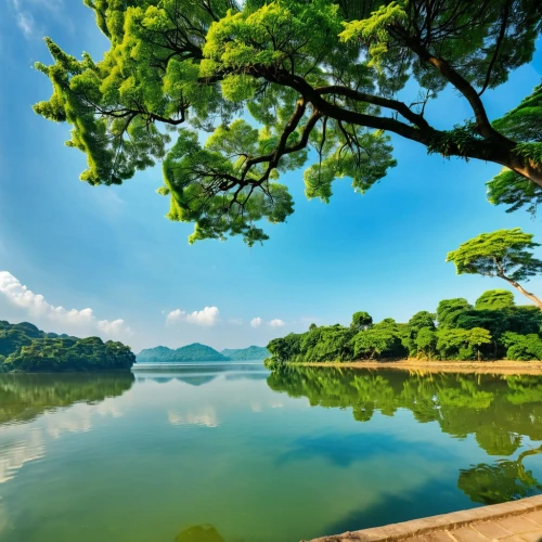 tailandia,tambopata,background view nature,mekong river,vietnam,daecheong lake,beautiful lake,philippines scenery,rangamati,lake tanuki,green trees with water,landscape background,mekong,kanchanaburi,nature background,southeast asia,hoan kiem lake,srilanka,aaaa,phuket province