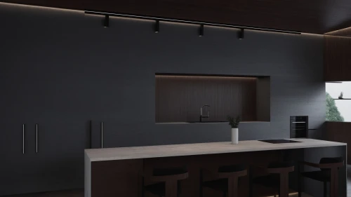 modern kitchen interior,modern minimalist kitchen,dark cabinetry,modern kitchen,kitchen design,dark cabinets,kitchen interior,render,3d rendering,renders,interior modern design,kitchen,3d render,kitchen counter,servery,3d rendered,kitchen-living room,new kitchen,rendered,contemporary decor,Photography,Documentary Photography,Documentary Photography 08