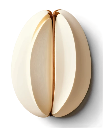 caciocavallo,egg shell,ellipsoid,pilgrim shell,ellipsoids,incandescent lamp,betelnut,operculum,onion seed,bisected egg,ensconce,wall light,keratoconus,golden apple,oval frame,parchment,bulb,eucharistic,pallial,sconce,Unique,Paper Cuts,Paper Cuts 05