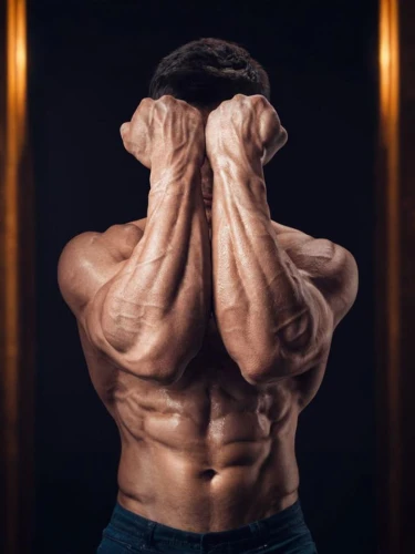 muscularity,physiques,striations,muscle angle,body building,trapezius,muscularly,triceps,musculature,muscular,pec,trenbolone,bodybuilding,clenbuterol,vasodilation,hypertrophy,deltoid,musclebound,serratus,muscle icon