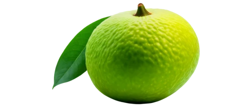 pear cognition,asparagaceae,seedpod,avowing,chayote,spadix,tulipifera,pear,green apple,lemon background,nepenthaceae,pinya,starfruit,green background,aaaa,patrol,green wallpaper,acorn,spring leaf background,limerent,Conceptual Art,Sci-Fi,Sci-Fi 07