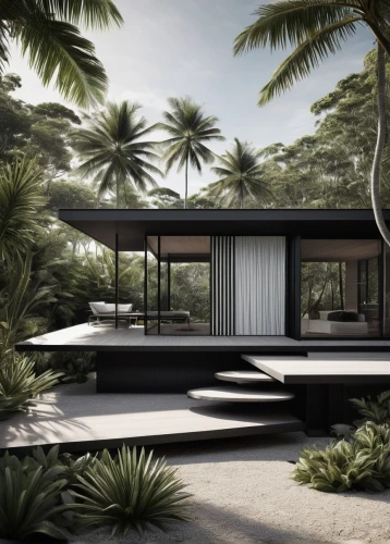 tropical house,modern house,dunes house,amanresorts,mid century house,3d rendering,landscape design sydney,holiday villa,renderings,eichler,garden design sydney,cubic house,neotropical,forest house,pool house,neutra,prefabricated,landscaped,contemporary,modern architecture,Photography,Black and white photography,Black and White Photography 04