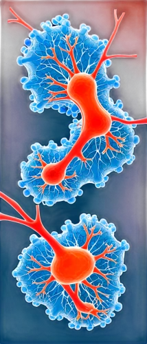 cytoskeleton,osteocytes,vasculature,cytoskeletal,neovascularization,angiogenesis,microcirculation,vascularization,microtubules,keratinocytes,fibroblast,ectomycorrhizal,astrocytes,extracellularly,oligodendrocyte,angiography,microglia,arteriole,extracellular,alveoli,Unique,Paper Cuts,Paper Cuts 06