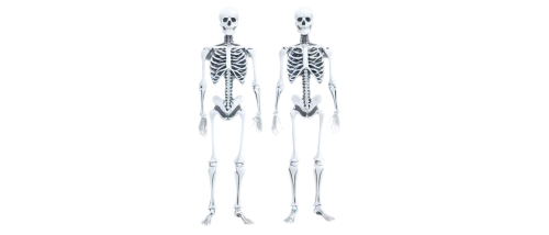 skeletal,osteoporotic,skeletons,osteopenia,human skeleton,osteoporosis,osteopath,osteoblast,skeletal structure,femurs,osteomalacia,osteopathy,osteopaths,osteopontin,osteological,skeleton,occipital,bones,radiographs,artificial joint,Conceptual Art,Sci-Fi,Sci-Fi 20