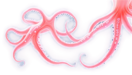 pink octopus,octopus vector graphic,tentacled,tentacular,tentaculata,tentacles,cephalopod,octopus tentacles,pink vector,octo,fun octopus,tentacle,octopus,pulpo,octopussy,octopuses,illithid,polychaetes,cephalopods,ophiusa,Conceptual Art,Oil color,Oil Color 22