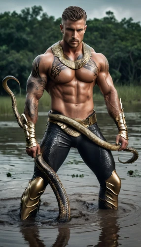 barbarian,oenomaus,aquaman,dronacharya,atlantean,herculean,thorbjorn,herculez,dhritarashtra,pandav,gotrek,parshuram,atharva,kumbhakarna,daken,mahabali,gladiador,thorgal,raavan,bhishma,Conceptual Art,Fantasy,Fantasy 34