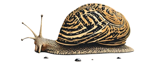 diamond zebra,garden cone snail,pallasite,conical hat,leopard head,ferrofluid,cowry,shivalingam,derivable,golden egg,asian conical hat,kokoshnik,leopardskin,kangri,cowrie,trilobyte,kashira,soldier's helmet,zebra fur,rocksnail,Conceptual Art,Fantasy,Fantasy 18