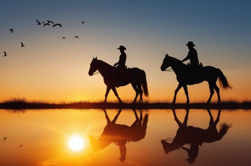 cowboy silhouettes,horseriding,western riding,horse herder,man and horses,horse riders,horseback riding,horsemanship,arabian horses,horseback,quarterhorses,beautiful horses,ranching,buckskins,equine,caballo,ponying,westerns,ranchland,horses,Photography,General,Realistic