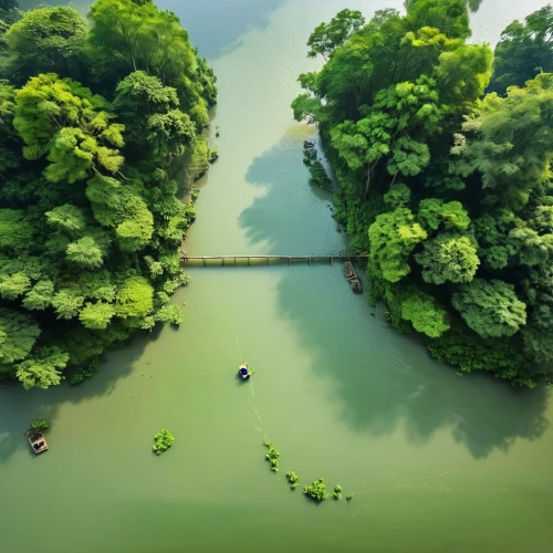 heart of love river in kaohsiung,green trees with water,floating islands,river landscape,green landscape,nature wallpaper,shaoming,nature love,hangzhou,nature background,green water,japan landscape,green wallpaper,artificial islands,greenheart,verdant,background view nature,island suspended,huzhou,green waterfall,Photography,Artistic Photography,Artistic Photography 11