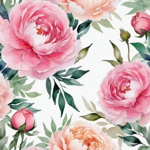 floral digital background,watercolor floral background,floral background,pink floral background,japanese floral background,roses pattern,paper flower background,peonies,tulip background,white floral background,flower background,chrysanthemum background,flower wallpaper,background pattern,watercolor roses,flowers pattern,tropical floral background,flower fabric,peony pink,peony,Illustration,Paper based,Paper Based 25