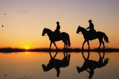 cowboy silhouettes,horseriding,western riding,horse riders,man and horses,horse herder,arabian horses,horsemanship,horseback riding,horseback,cholistan,couple silhouette,quarterhorses,animal silhouettes,beautiful horses,camargue,equestrian sport,rajasthani,caballo,arabians,Art,Classical Oil Painting,Classical Oil Painting 12