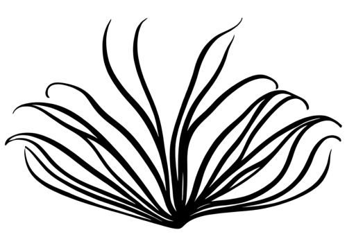 pyrroline,corticosterone,paypal logo,nitrochlorobenzene,chlorobenzene,acetylbromide,pyridine,polytetrafluoroethylene,perchloroethylene,ceftriaxone,benzophenone,hydroxides,facebook logo,pyrophosphorylase,acetylsalicylic,cyclopentadiene,porphyrins,bipyridine,ethylpentane,sulfanilamide,Art,Classical Oil Painting,Classical Oil Painting 44