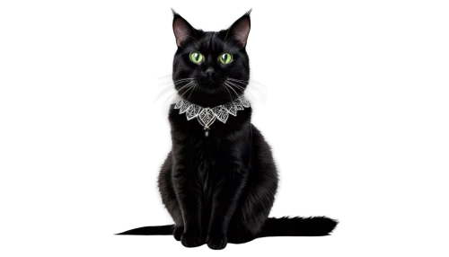 ravenpaw,shadowclan,pyewacket,melanism,dark portrait,scourge,cat vector,graystripe,pet black,riverclan,luci,salem,bagheera,scourby,black cat,starclan,jiji the cat,bulgakov,brambleclaw,pet portrait,Conceptual Art,Sci-Fi,Sci-Fi 18