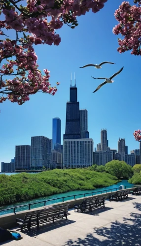 chicago,chicago skyline,omaha,chicagoland,lakefront,detroit,chicagoan,mke,birds of chicago,sears tower,metra,buckingham fountain,illinois,detriot,dearborn,lbg,primavera,dusable,macomb,indianapolis,Illustration,Abstract Fantasy,Abstract Fantasy 14