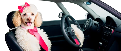 girl in car,chauffeur car,rideshare,car interior,woman in the car,ridesharing,hen limo,limousine,driving assistance,twingo,dog frame,animals play dress-up,female dog,subwoofers,lyft,carpooling,car rental,cheerful dog,car model,chauffeur,Illustration,Paper based,Paper Based 13