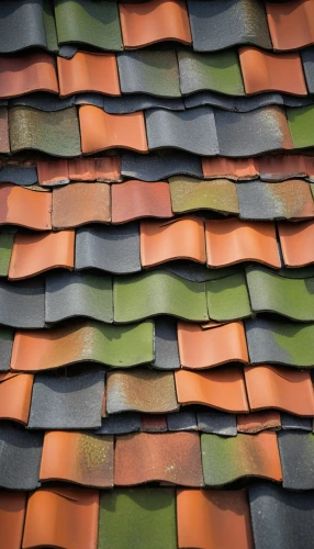 roof tiles,roof tile,terracotta tiles,clay tile,tiled roof,slate roof,ceramic tile,tiles shapes,tiles,roof landscape,tile,roof panels,terracotta,the old roof,house roofs,house roof,scheltema,reed roof,shingled,piano petals,Conceptual Art,Daily,Daily 10