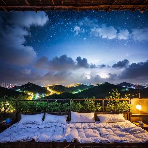 roof landscape,bed in the cornfield,sleeping room,grenadines,nightscape,nightview,over water bungalows,dreamscapes,belize,night sky,night image,blue hour,night indonesia,nightsky,ubud,the night sky,night photograph,mustique,dreamin,night view,Illustration,American Style,American Style 12
