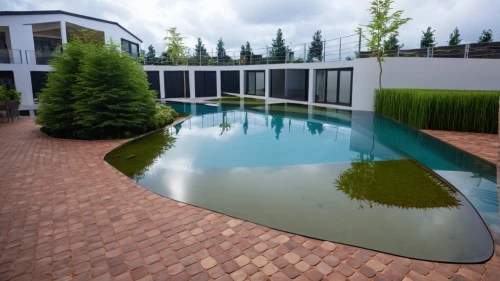 landscape designers sydney,landscape design sydney,outdoor pool,reflecting pool,dug-out pool,landscaped,garden pond,infinity swimming pool,water feature,lilly pond,swimming pool,pool house,artificial grass,corten steel,swim ring,geomembrane,garden design sydney,roof top pool,pond,fishpond,Photography,General,Realistic