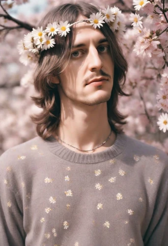 valensi,frusciante,gotye,gubler,kirch blossoms,daisies,jandrokovic,ringo,dor with flowers,humbug,durutti,pink daisies,meadow daisy,polunin,hillel,lanford,dhani,flowers png,blossoming,sea of flowers,Photography,Analog