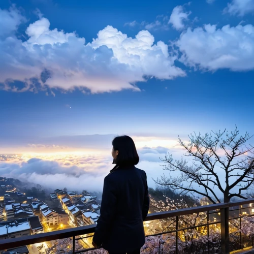japan's three great night views,overlooking,kadoorie,namsan,namsan mountain,overlook,enoshima,landscape background,silhouette against the sky,windows wallpaper,skyscape,viewpoint,woman silhouette,skywatchers,nodame,evening atmosphere,beautiful japan,blue hour,skydeck,sea of clouds,Illustration,Children,Children 02
