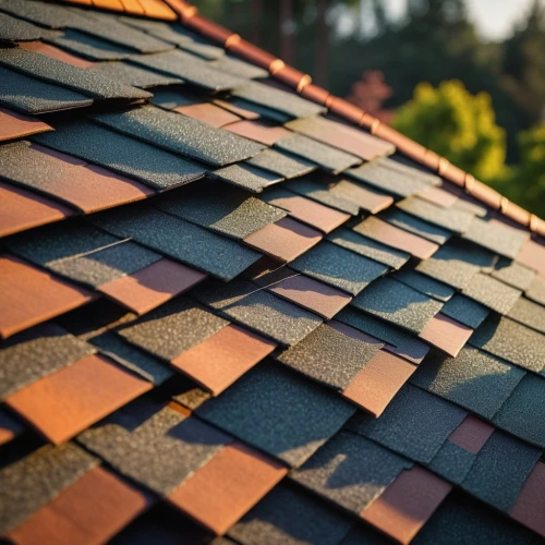 roof tiles,roof tile,tiled roof,slate roof,shingled,roof panels,roof plate,roof landscape,shingles,house roofs,roofing,shingling,roofing work,house roof,clay tile,rooflines,metal roof,roofs,the old roof,wooden roof,Illustration,Retro,Retro 20