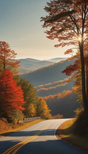 fall landscape,autumn scenery,autumn mountains,mountain road,autumn background,autumn landscape,maple road,mountain highway,vermont,landscape background,alpine drive,fall foliage,colors of autumn,country road,blue ridge mountains,beautiful landscape,beech mountains,autumn morning,forest road,autumn light,Illustration,Vector,Vector 10
