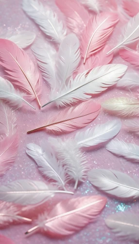 parrot feathers,color feathers,feathers,beak feathers,feather boa,feather jewelry,feather,bird feather,fringed pink,plumes,feathery,feathering,feather carnation,featherbedding,pigeon feather,swan feather,plumas,white feather,feather headdress,chicken feather,Conceptual Art,Daily,Daily 24
