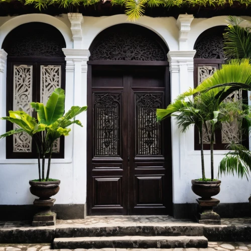 peranakan,peranakans,seminyak,javanese traditional house,house facade,garden door,house entrance,main door,front door,porticos,surakarta,entranceway,barretos,entrada,jogja,old colonial house,front gate,yogya,doorways,doorway,Illustration,Black and White,Black and White 33