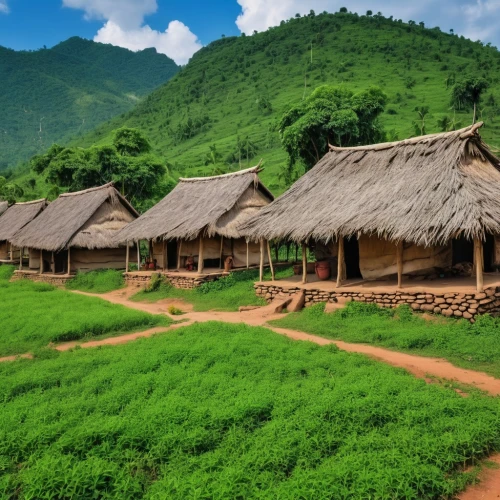 longhouses,rice terrace,korean folk village,nagaland,traditional village,vietnam,yangshao,ha giang,mud village,sapa,nghe,rice fields,kachin,inle,kassapa,the rice field,kayan,longhouse,stilt houses,laos,Photography,General,Realistic