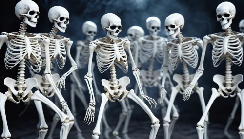 skeletons,skeletal,calcium,skelemani,skeleltt,calcium pools,human skeleton,spookiest,spookily,doot,osteoporotic,skelly,danse macabre,vintage skeleton,skeletal structure,osteoporosis,boneparth,skelid,bone,skeleton,Photography,General,Realistic