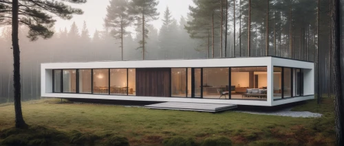 house in the forest,cubic house,forest house,prefab,prefabricated,timber house,inverted cottage,electrohome,mirror house,cube house,arkitekter,bohlin,aalto,small cabin,frame house,huset,lohaus,modern house,3d rendering,dunes house,Illustration,Paper based,Paper Based 02