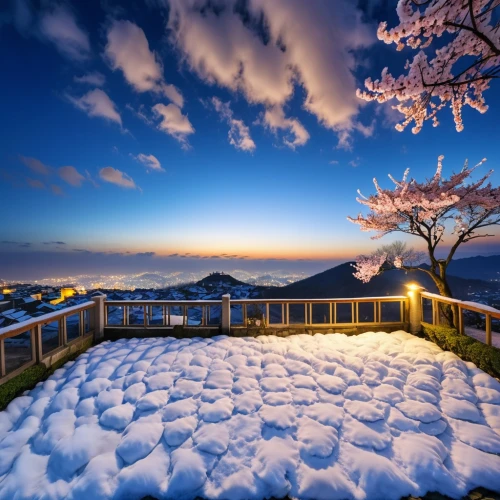 fragrant snow sea,snow roof,korean village snow,roof landscape,japan's three great night views,beautiful japan,snow landscape,spring in japan,japanese snowball,japan landscape,snow shelter,snow slope,cold cherry blossoms,japon,snowy landscape,rice terrace,snow ring,snow bales,snow mountain,snow house