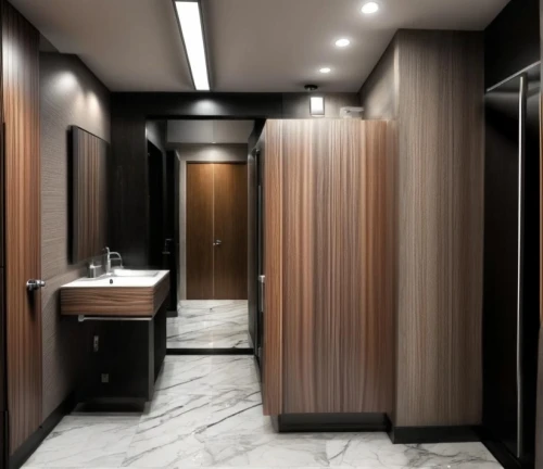 luxury bathroom,washroom,washrooms,modern minimalist bathroom,lavatory,banyo,barrooms,bathrooms,bathroom,restrooms,bath room,restroom,dark cabinetry,hallway space,walk-in closet,wardrobes,toilets,saunas,lavatories,elevators