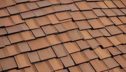 roof tiles,roof tile,tiled roof,terracotta tiles,shingled,house roof,slate roof,clay tile,almond tiles,house roofs,roof plate,roof landscape,roof panels,shingles,roofing,the old roof,wooden roof,roofing work,tiles shapes,hall roof,Conceptual Art,Sci-Fi,Sci-Fi 19