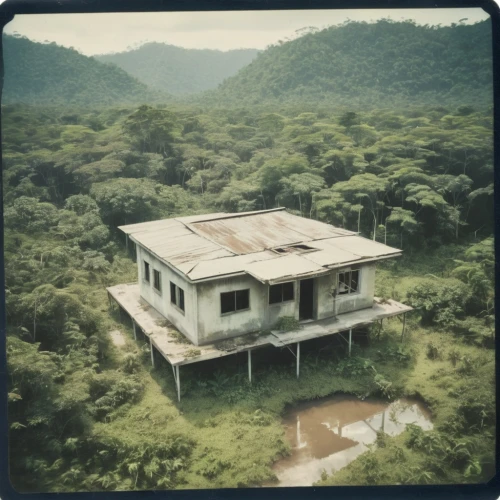 fordlandia,fitzcarraldo,lubitel 2,stilt house,tropical house,yasuni,amazonia,paruta,zihua,narayama,leprosarium,yavin,korowai,tambopata,jonestown,makira,amazonica,honduras lempira,kovco,nyungwe,Photography,Documentary Photography,Documentary Photography 03