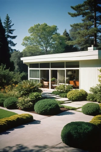 mid century modern,mid century house,mid century,midcentury,eichler,neutra,boxwoods,landscaped,boxwood,bungalow,landscapist,amagansett,carolwood,1955 montclair,hovnanian,bridgehampton,bunshaft,louvered,mies,landscaping,Photography,Documentary Photography,Documentary Photography 15