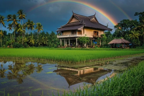 javanese traditional house,indonesia,thai temple,ubud,paddy field,siem reap,beautiful home,home landscape,ricefield,tropical house,house with lake,rumah gadang,cambodia,thailands,double rainbow,buddhist temple complex thailand,inle,thai,dreamhouse,thai cuisine,Photography,General,Natural