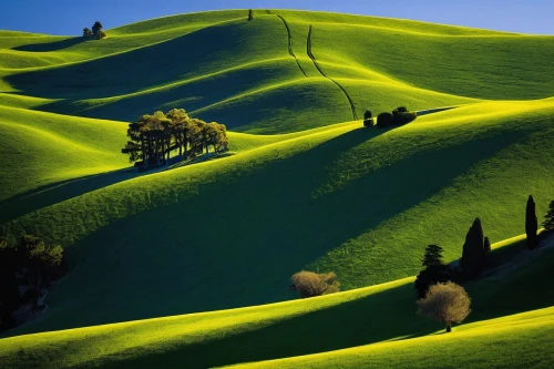 toscane,palouse,toscana,tuscany,rolling hills,green landscape,windows wallpaper,green fields,colline,moravia,landscape photography,cypresses,umbria,landscape nature,vegetables landscape,hills,olive field,maremma,landscapes beautiful,beautiful landscape,Conceptual Art,Sci-Fi,Sci-Fi 21