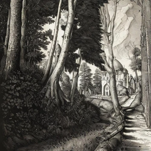forest path,pathway,charcoal drawing,charcoal nest,coelophysis,iguanodon,forest road,paleocene,megalosaurus,forest walk,forest landscape,mezzotints,tropical forest,cetiosaurus,cartoon forest,the forests,masakayan,the forest,palaeozoic,palmtrees,Art sketch,Art sketch,15th Century