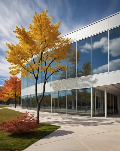 phototherapeutics,fall landscape,fall foliage,oclc,the trees in the fall,deciduous trees,globalfoundries,company headquarters,trees in the fall,office building,bechtler,mahtomedi,maple foliage,autumn foliage,maple branch,home of apple,office buildings,aicpa,ccac,schulich,Photography,Documentary Photography,Documentary Photography 19