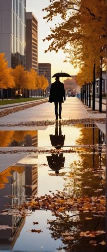 golden rain,man with umbrella,reflecting pool,nodame,autumn background,after the rain,walking in the rain,autumn frame,the autumn,after rain,silhouette art,one autumn afternoon,autumn scenery,rainfall,golden autumn,autumn morning,ukrainy,autumn day,marunouchi,puddle,Illustration,Realistic Fantasy,Realistic Fantasy 10