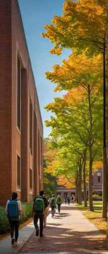 gmu,njitap,upj,umaine,umbc,rit,bvu,campuswide,purdue,gvsu,pnu,unl,tdsb,the trees in the fall,uoit,cmu,marywood,campus,hofstra,cwru,Conceptual Art,Daily,Daily 18