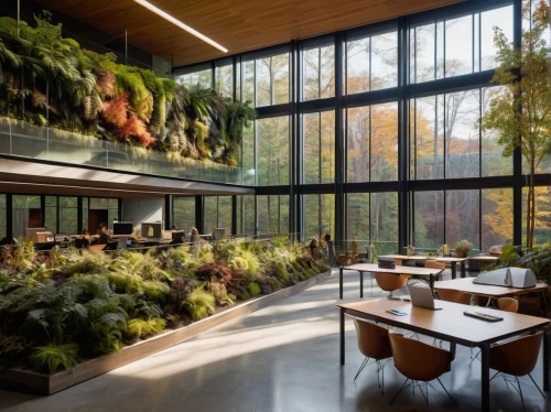 wintergarden,meadowood,hahnenfu greenhouse,weyerhaeuser,forest workplace,lunchroom,breakfast room,snohetta,cafeteria,bobst,winter garden,atriums,gensler,greenhouse,foodplant,forest house,bohlin,kitchen garden,culinary herbs,ecoterra,Photography,General,Sci-Fi