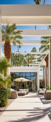 amanresorts,royal palms,palmilla,paradisus,pergola,breezeway,tropical house,mid century modern,holiday villa,palm garden,riviera,landscape designers sydney,cabana,carport,dunes house,beachfront,palms,florida home,wintergarden,palm springs,Illustration,Black and White,Black and White 19