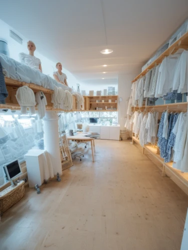 cleanrooms,laundry shop,cleanroom,dress shop,workrooms,garment racks,sewing room,stockroom,showrooms,wardrobes,closets,sacristy,walk-in closet,shop fittings,laundress,storeroom,laundries,boutiques,seamstresses,storerooms,Photography,General,Realistic