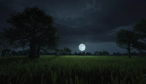 darkfall,moonglow,moonsorrow,moonlit night,moonlit,the night of kupala,unturned,deadmarsh,slender,darklands,dusk background,barbizon,dark park,moonlight,moon at night,dayz,big moon,night scene,full moon,light of night,Illustration,Japanese style,Japanese Style 05