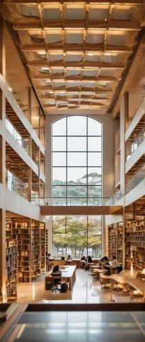 celsus library,snohetta,bookbuilding,staatsbibliothek,bibliotheek,bibliotheca,bibliotheque,libraries,university library,schulich,bibliothek,hallward,interlibrary,technion,library,reading room,kaust,longaberger,epfl,bookstore,Illustration,Paper based,Paper Based 09