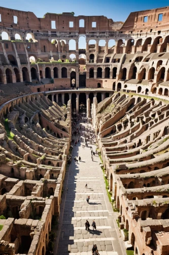 roman coliseum,coliseo,italy colosseum,coliseum,colloseum,colisee,colosseum,gladiatorial,the colosseum,colosseo,in the colosseum,the forum,amphitheatre,amphitheater,amphitheaters,trajan's forum,ancient theatre,forum,arenas,pula,Photography,Documentary Photography,Documentary Photography 31