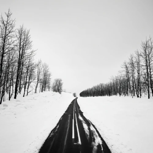 road to nowhere,vanishing point,roadless,chemin,railroad,offtrack,alaska pipeline,straight ahead,journeying,railroad track,winterreise,snow trail,railroad line,rail road,snow tracks,traverses,long road,railway track,oncoming,waggonway,Illustration,Black and White,Black and White 33