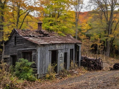 appalachia,sheds,old barn,the cabin in the mountains,abandoned train station,log cabin,abandoned place,shed,old home,appalachian,old house,small cabin,rural,farm hut,cabins,house in the forest,abandoned house,dogtrot,cabin,woodshed,Photography,Black and white photography,Black and White Photography 08